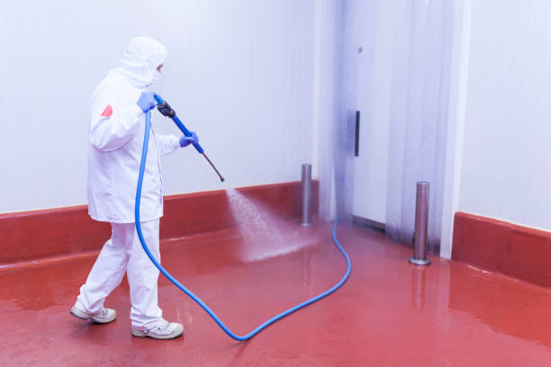 Boat and Dock Cleaning in Clearlake Riviera, CA