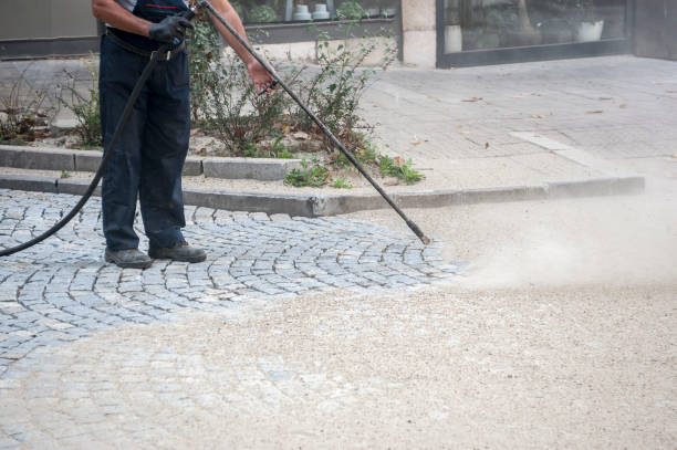 Best Driveway Pressure Washing  in Clearlake Riviera, CA