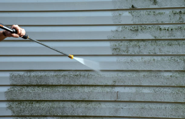 Best Roof Washing  in Clearlake Riviera, CA